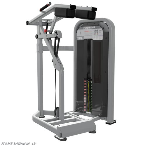 Nautilus Impact Wadenpresse stehend